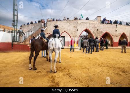 Corrida à Cantillana, Espagne Banque D'Images