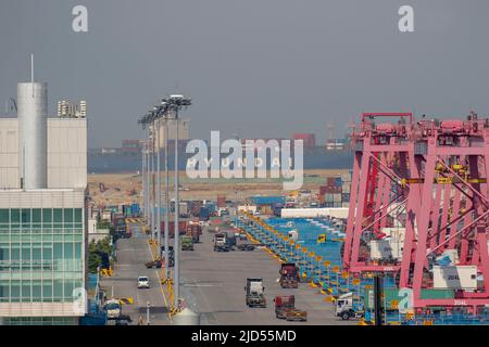 10 juin 2020-Busan, Corée du Sud- Une vue d'ensemble du nouveau port à conteneurs à Busan, Corée du Sud.l'économie de la Corée du Sud devrait se contracter de 1,2 pour cent cette année, alors que la pandémie du coronavirus et les mesures de confinement ont ravagé le commerce et la consommation mondiaux, a déclaré l'Organisation de coopération et de développement économiques (OCDE) mercredi. La prévision actualisée, qui serait la plus forte contraction depuis la crise financière asiatique de 1998, a marqué une baisse marquée par rapport aux prévisions de l'OCDE de mars d'expansion de 2 pour cent. Les dernières prévisions de l'OCDE sont plus sombres qu'une prévision de la Banque de Corée (BOK), qui f Banque D'Images