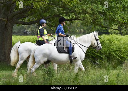 Cavaliers sur des chevaux à Richmond Park Surrey Angleterre Royaume-Uni. Banque D'Images