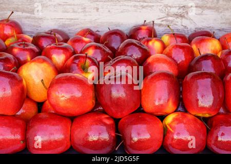 Des pommes rouges brillantes d'apparence saine et appétissante dans une boîte contenant Banque D'Images