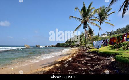 BATHSHEBA, BARBADE; 23 février 2020: Les gens sur la plage de Bathsheba, côte est de l'île de la Barbade, Iles des Caraïbes Banque D'Images