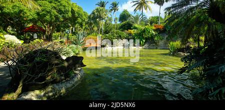 BASSE-TERRE/GUADELOUPE - 07 JANVIER 2019 : beau jardin botanique - jardin de Deshaies, au nord-ouest de Basse-Terre, Guadeloupe, Caraïbes Banque D'Images