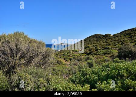 Paysage typique avec des maquis à feuilles persistantes et la côte de lazur pure sur la Tour espagnole et la plage Mare Pintau en Sardaigne, Italie. Banque D'Images