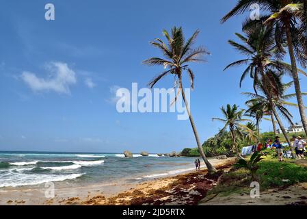 BATHSHEBA, BARBADE; 23 février 2020: Les gens sur la plage de Bathsheba, côte est de l'île de la Barbade, Iles des Caraïbes Banque D'Images