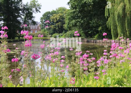 Château d'Anholt en Allemagne Banque D'Images