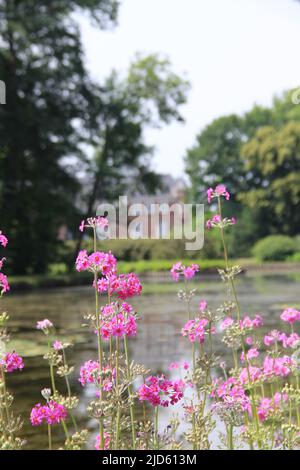 Château d'Anholt en Allemagne Banque D'Images