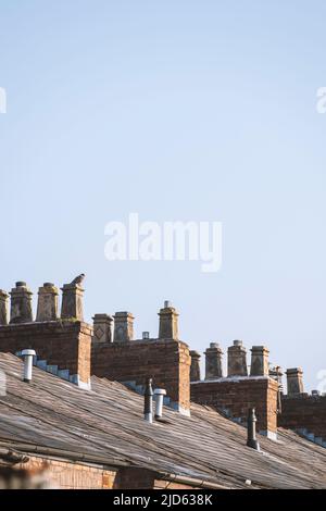 Toits et cheminées sur une rangée de maisons mitoyennes à Stretford, Manchester, Angleterre, RU Banque D'Images