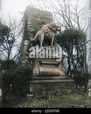 Statue commémorative de 'Barry', un chien Saint Bernard qui a sauvé 42 personnes dans les Alpes, mais a été tué par les 43rd qui pensaient que le chien l'attaquait, cimetière d'Asnieres, Paris. Version colorisée de : 10167305 Date : début 1930s Banque D'Images