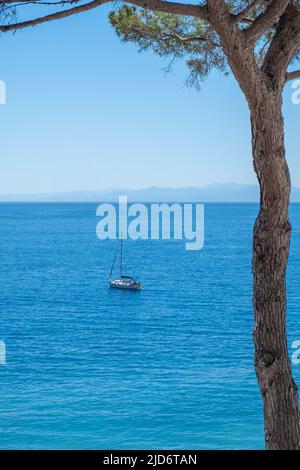 Bateau à voile unique dans les eaux calmes au large de la côte de Camogli, Italie. Banque D'Images