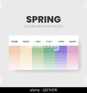 Palette de couleurs dans les collections de thèmes de couleurs Soft et Pale. Combinaison de couleurs ou modèle de tableau de couleurs. Jeu de combinaisons de couleurs RVB, HSL et CODE HEXADÉCIMAL. Vecteur Illustration de Vecteur