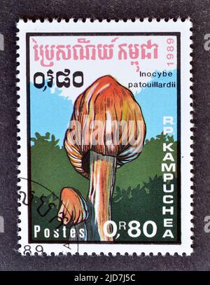 Timbre-poste annulé imprimé par le Cambodge, qui montre Inocybe patouillardii - la capsule de fibre mortelle, brique-rouge champignon déchirure ou rouge-coloration Inocybe, Banque D'Images