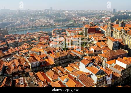 Maisons typiques de Porto à côté du Douro, architecture pittoresque de maisons bordées et couleurs vives. Portugal. Banque D'Images