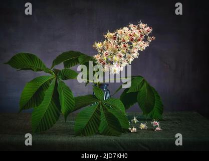 Fleurs de châtaignier sur une branche avec des feuilles. Banque D'Images