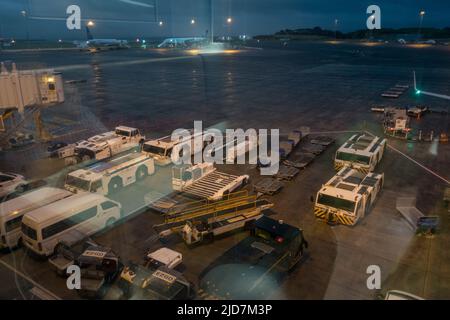 Avions Air New Zealand sur le terminal de l'aéroport international d'Auckland, Auckland, Nouvelle-Zélande.Mai 15 2016 Banque D'Images