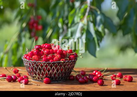cerises mûres dans un panier sur une table en bois à l'extérieur Banque D'Images