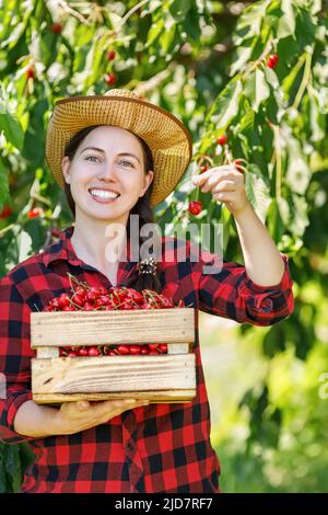 femme jardinière avec caisse de cerises mûres Banque D'Images