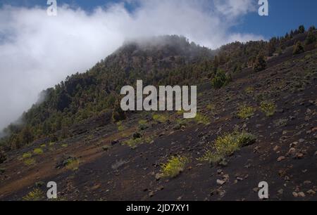 La Palma, paysages le long de la longue route populaire de randonnée Ruta de Los Volcans, allant le long de la crête de l'île d'El Paso à Fuencaliente Banque D'Images