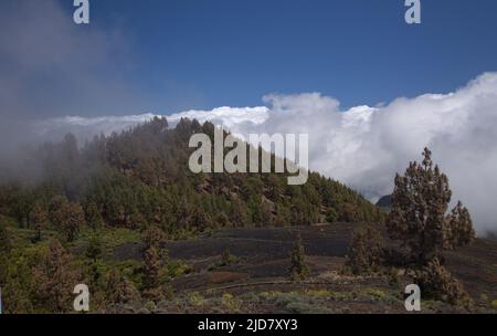 La Palma, paysages le long de la longue route populaire de randonnée Ruta de Los Volcans, allant le long de la crête de l'île d'El Paso à Fuencaliente Banque D'Images