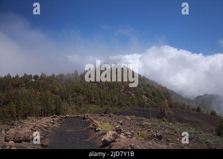 La Palma, paysages le long de la longue route populaire de randonnée Ruta de Los Volcans, allant le long de la crête de l'île d'El Paso à Fuencaliente Banque D'Images