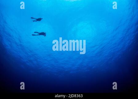 Fond bleu de l'océan avec beaucoup d'espace de copie et une silhouette de quelques plongeurs Banque D'Images