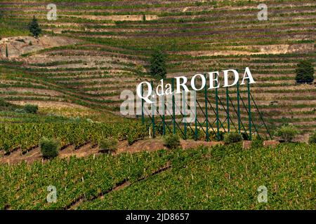 Quinta da Roeda et vignoble sur les rives du Douro à Pinhao, Portugal Banque D'Images