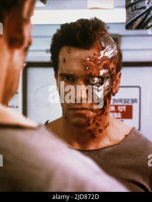 ARNOLD SCHWARZENEGGER, LE TERMINATEUR, 1984, Banque D'Images