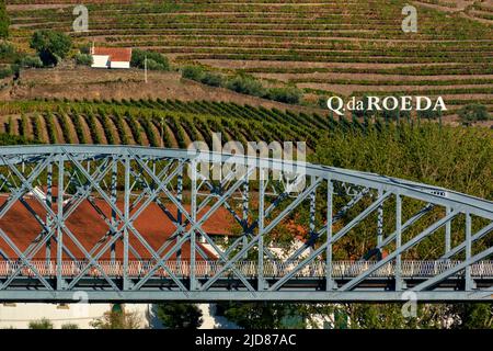 Quinta da Roeda et vignoble sur les rives du Douro à Pinhao, Portugal Banque D'Images