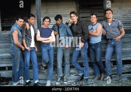 CRUISE,LOWE,HOWELL,MACCHIO,DILLON,ESTEVEZ,SWAYZE, THE OUTSIDERS, 1983, Banque D'Images