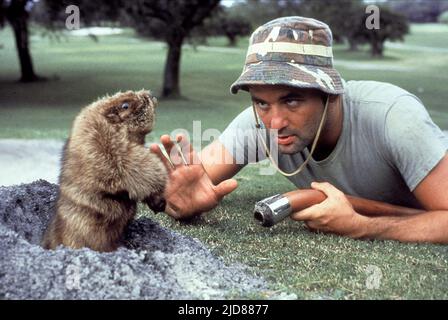 MURRAY, GOPHER, CADDYSHACK, 1980, Banque D'Images