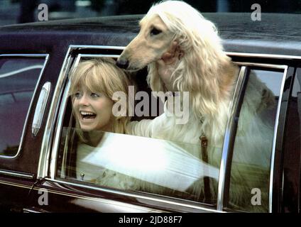 GOLDIE HAWN, PROTOCOLE, 1984, Banque D'Images