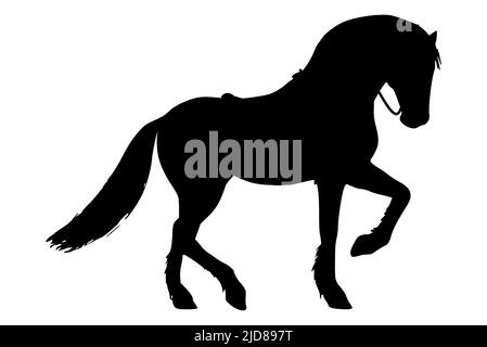 Silhouette noire d'un cheval sur fond blanc, course à pied Illustration de Vecteur