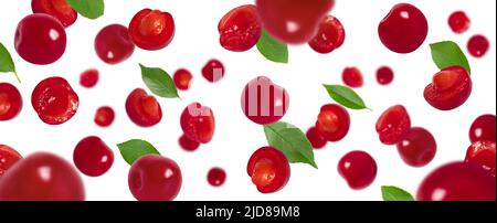 Cerise volante avec des feuilles vertes isolées sur un fond blanc. Motif de baies rouges en chute. Bannière. Cerises mûres juteuses. Banque D'Images