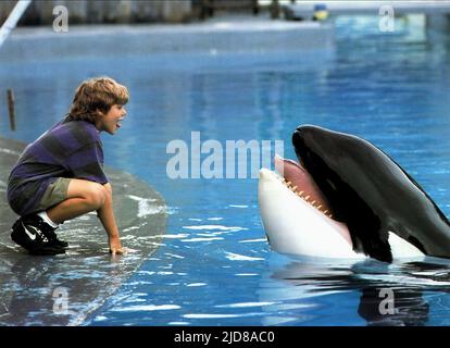 JASON JAMES RICHTER, Free Willy, 1993 Banque D'Images