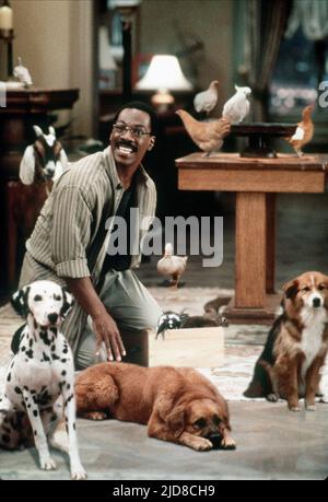 EDDIE MURPHY, Docteur Dolittle, 1998 Banque D'Images