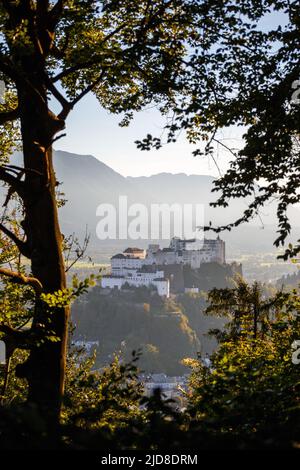 Au coucher du soleil, vue à travers les arbres sur la forteresse de Hohensalzburg (Festung Hohensalzburg). Saison d'automne. Salzbourg. Autriche. Europe. Banque D'Images