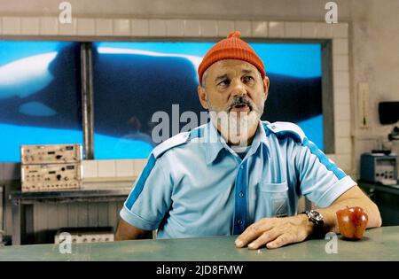 BILL MURRAY, LA VIE AQUATIQUE AVEC STEVE ZISSOU, 2004, Banque D'Images