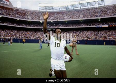 PELE, UNE FOIS DANS UNE VIE: L'HISTOIRE EXTRAORDINAIRE DE NEW YORK COSMOS, 2006, Banque D'Images