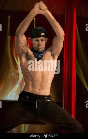 TANNING TATUM, MAGIC MIKE XXL, 2015, Banque D'Images