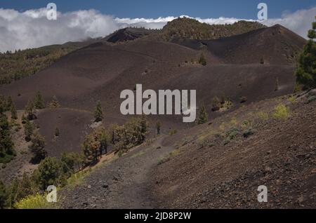 La Palma, paysages le long de la longue route populaire de randonnée Ruta de Los Volcans, allant le long de la crête de l'île d'El Paso à Fuencaliente Banque D'Images