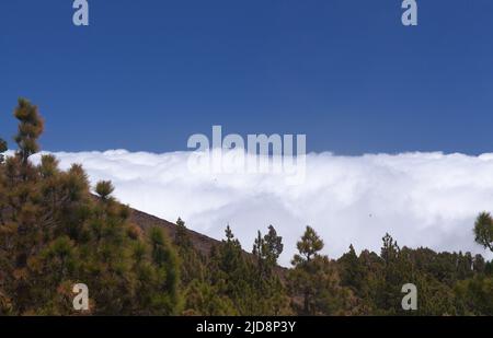 La Palma, paysages le long de la longue route populaire de randonnée Ruta de Los Volcans, allant le long de la crête de l'île d'El Paso à Fuencaliente Banque D'Images