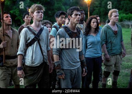 BRODIE-SANGSTER,LEE,O'BRIEN,SCODELARIO, LE CHEMIN DU LABYRINTHE, 2014, Banque D'Images