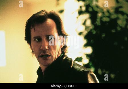 JAMES WOODS, UN AUTRE JOUR AU PARADIS, 1998, Banque D'Images