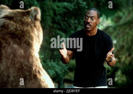 EDDIE MURPHY, DR. DOLITTLE 2, 2001, Banque D'Images