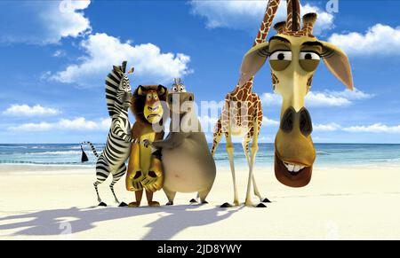 ZEBRA,LION,HIPPO,GIRAFE, MADAGASCAR, 2005, Banque D'Images