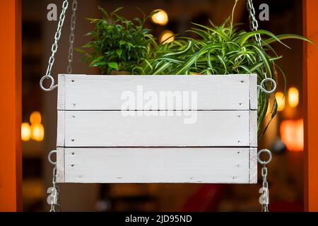 panneau sur un mur en bois fleur dans une boîte en bois Banque D'Images