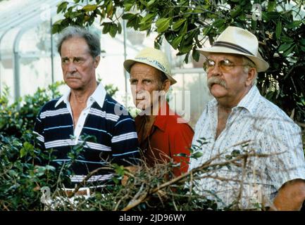 CRONYN,BRIMLEY, COCOON, 1985, Banque D'Images