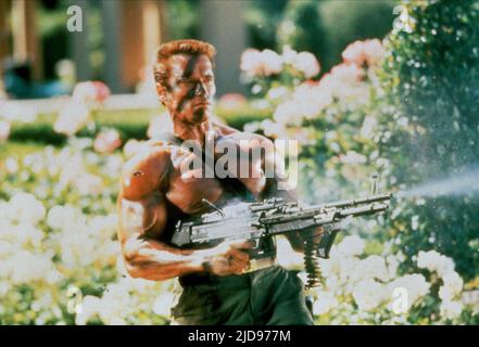 ARNOLD SCHWARZENEGGER, COMMANDO, 1985, Banque D'Images