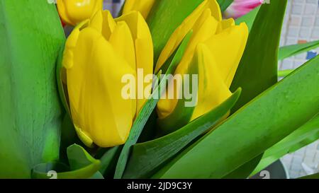 Bouquet de fleurs différentes dans un vase. Fête des mères, Fête des femmes, Saint-Valentin ou anniversaire. Espace de copie Banque D'Images