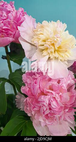 Bouquet de fleurs différentes dans un vase. Fête des mères, Fête des femmes, Saint-Valentin ou anniversaire. Espace de copie Banque D'Images