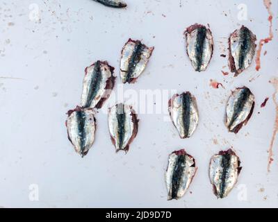 sardines fraîchement pêchées coupées en deux et affichées sur une table simple. Essaouira, Maroc Banque D'Images